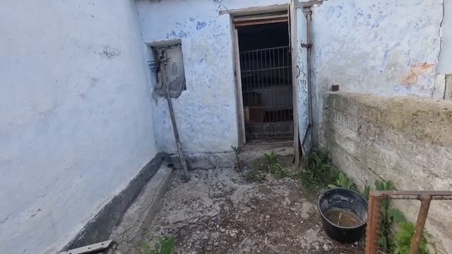 Кур нет...А яйца несутся) Дом для новых жильцов, Уборка века! смотреть онлайн