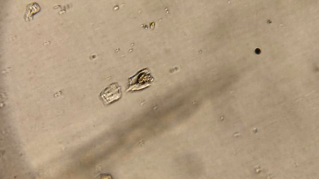 Мощный микроскоп своими руками(часть 2) смотреть онлайн