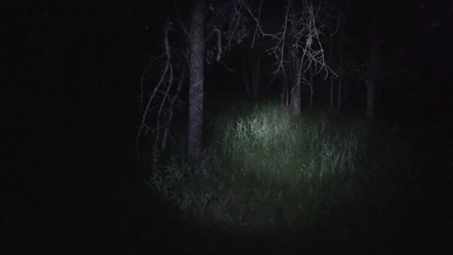 НОЧЬ В ЛЕСУ! ЧТО-ТО ПОШЛО НЕ ТАК! СТРАХ!