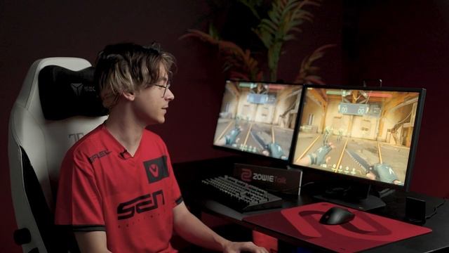 Interview with Sentinels Part II : What is Fast TN and DyAc experience on XL2566K for VALORANT смотреть онлайн