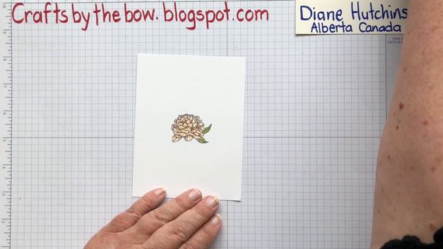 Double point card - Peony Garden suite смотреть онлайн