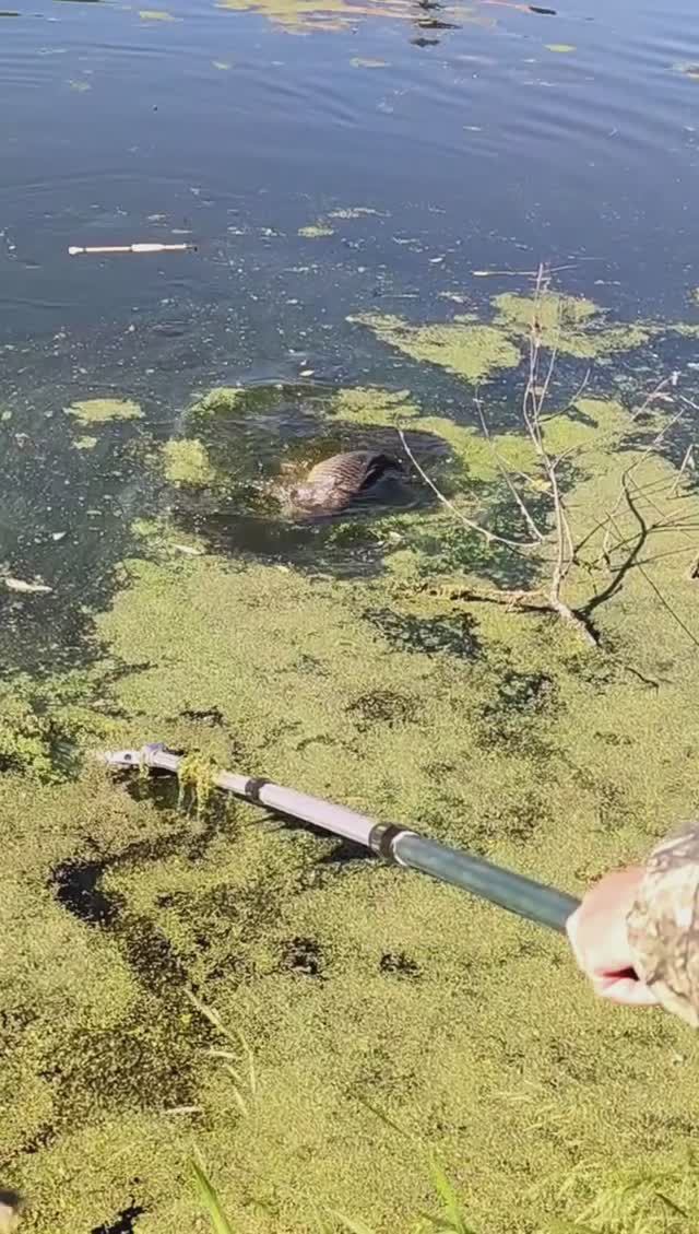 Рыбалка (анонс) смотреть онлайн