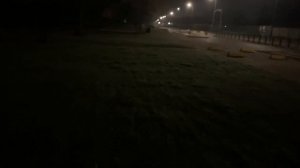 Звук шагов по траве ночью