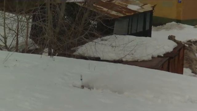 20120331-095542.MPG смотреть онлайн