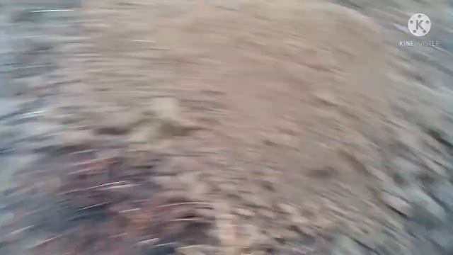 Плужная подошва смотреть онлайн