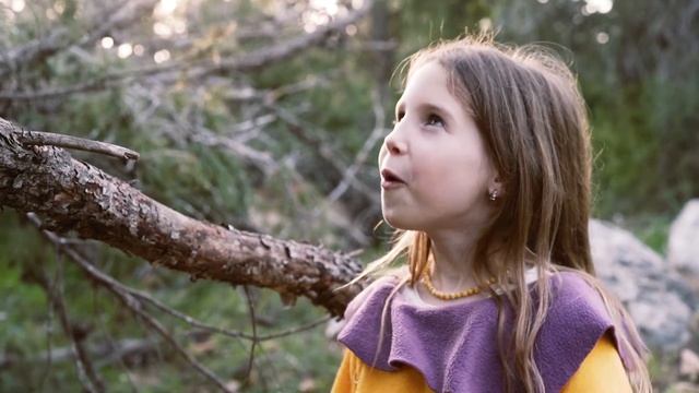 Ворона и Лисица смотреть онлайн