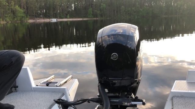 По делу: North Silver PRO 570 Fish?