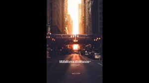 Whitewildbear - Height.mp4