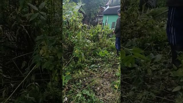 Косьба участка смотреть онлайн