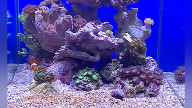 60 литров моря смотреть онлайн