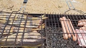 Шашлык из рыбы терпуг.  Прогулка на природе!!!