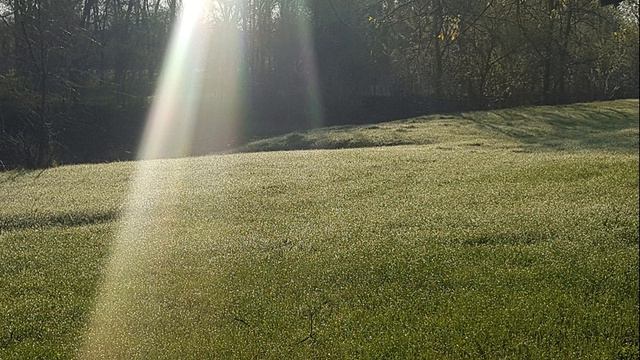 Бурное развитие головного - спинного мозга. смотреть онлайн