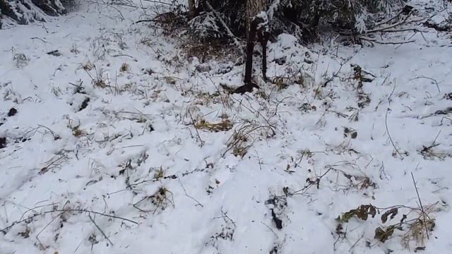 Коп металлолома на старых торфяных болотах. смотреть онлайн