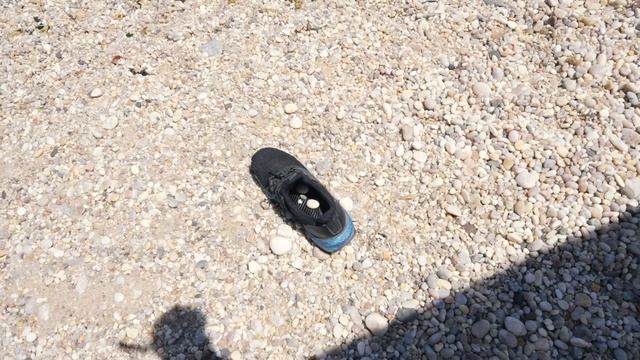 Camping With Friends In New York | Cooking, Nature, Beach, Ice Cream