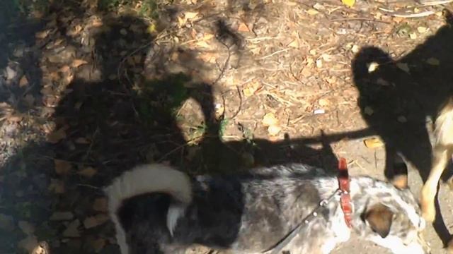 Очаровашка Муля смотреть онлайн