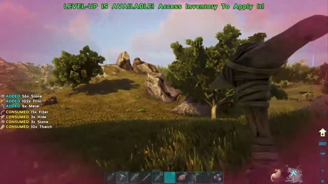 Playing Ark