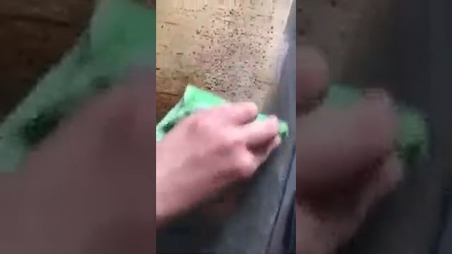 Паста mystik смотреть онлайн