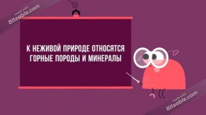 Заглянем в кладовые Земли