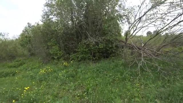 ОДИН ДЕНЬ ИЗ ЖИЗНИ КОПАТЕЛЕЙ ЧЕРМЕТА. ФЕРМЫ, ДЕРЕВЕНСКИЕ ДОРОГИ И ДРУГОЕ смотреть онлайн