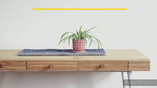 Best Indoor plants for Clean Air|Best Air Purifying Indoor Plants|Indoor Plants for Air Purificatio смотреть онлайн
