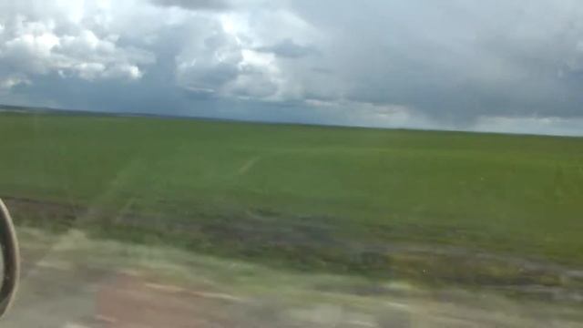 Маково 2016. Дорога домой. Поля смотреть онлайн