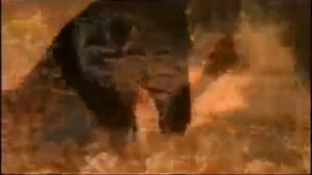 Моя самая лучшая медитация.wmv смотреть онлайн