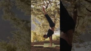 Наши ЛУЧШИЕ Тренеры по Йоге! ?? Видео Хатхи, Аштанги, Виньясы на www.yogadrive.co #йогадляначинающи
