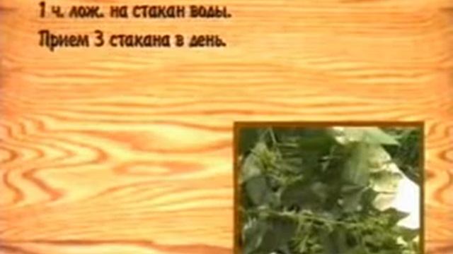 63 Крапива смотреть онлайн