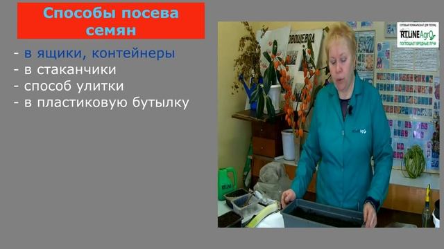 Опыт выращивания лука порей. Подробное описание от посева семян до сбора урожая. Часть 1. смотреть онлайн