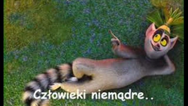 Piosenka Juliana. King Julian Song