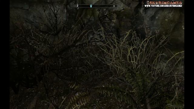 Skyrim - Ansilvund Walkthrough - Voice Commentary