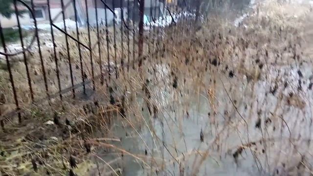 Щёлково деревня ЛЕОНИХА. Новый год с какашками. смотреть онлайн