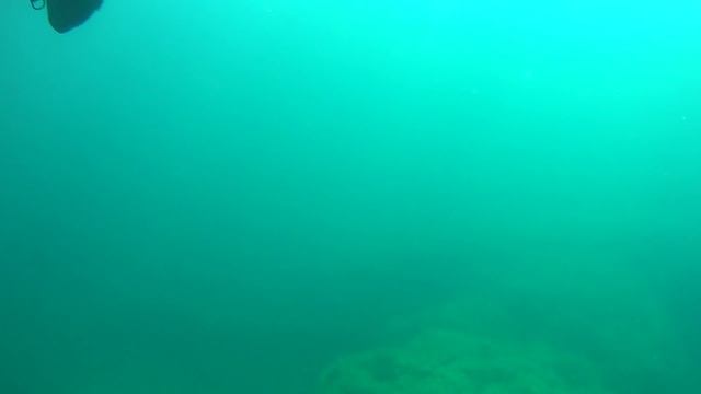 Дайвинг на Атлеше. Крым 2015