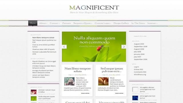 Wordpress photo theme смотреть онлайн