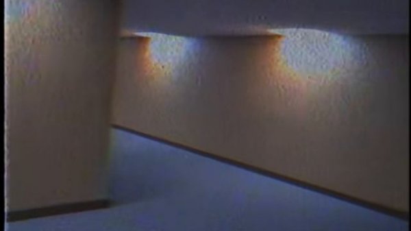 Backrooms Found Footage  #3