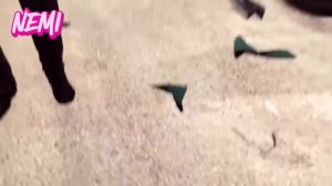 Озвучка Skibidi Toilet ВСЕ СЕРИИ - 1-70 Вся первая Арка