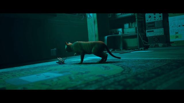 прохождение игры stray 2часть смотреть онлайн