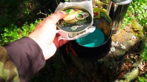 Одиночный поход,поход в лес летом,3 дня в лесу.