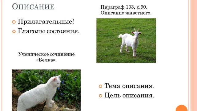 Подготовка к написанию сочинения-описания животного