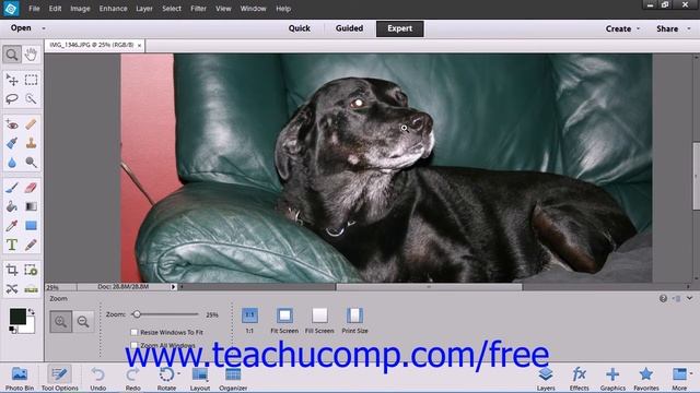 Photoshop Elements 12 Tutorial Setting Preferences Adobe Training Lesson 3.10 смотреть онлайн
