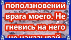 СТАРИННАЯ МОЛИТВА КОТОРАЯ СНИМАЕТ 99 ВИДОВ ПОРЧИ И ВОЗВРАЩАЕТ ТОМУ КТО ЕЁ СДЕЛАЛ | ЭЗОТЕРИКА-ВЛАД.✝