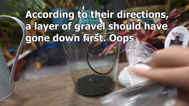 Testing Out A DIY Terrarium Kit From Homegoods