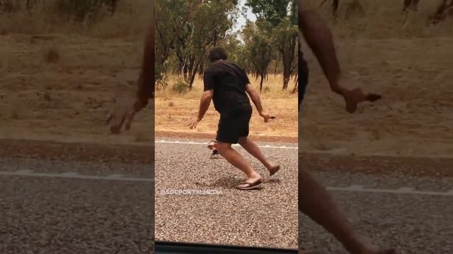 Плащеносная ящерица носит плащ? смотреть онлайн