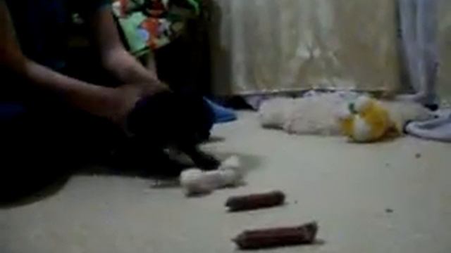 сосисочка из мультика сезон охоты. в жизни смотреть онлайн