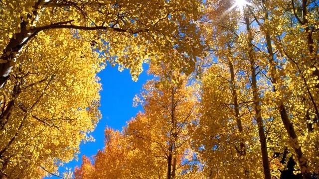 Ф И Тютчев Есть в осени первоначальной смотреть онлайн