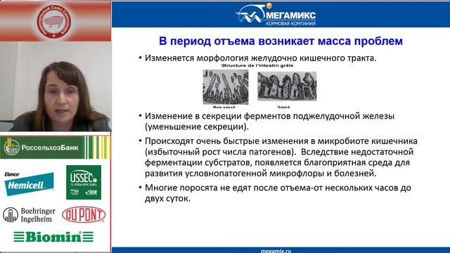 Херувимских Е.С. Стратегия кормления поросят в пост-отъемный период смотреть онлайн