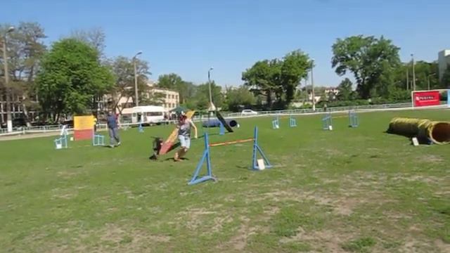 Хребтова Анна и мастино Бамба А0 смотреть онлайн