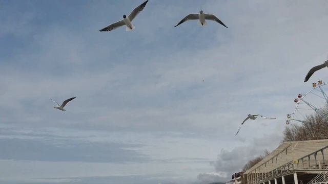 Дождались солнца! Заряжайтесь энергией! Лазаревское Сочи. Пляж Калипсо. Погода 21 марта. Воздух +16 смотреть онлайн