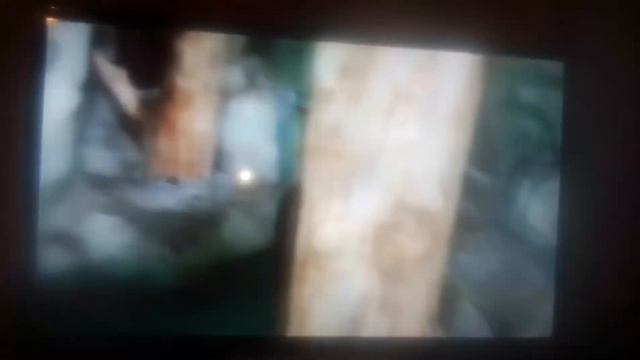 Новосибирский зоопарк имени ростислава Александровича шилло Канал YouTube смотреть онлайн