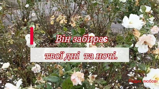 Кохай Лiна Костенко смотреть онлайн